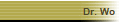 Dr. Wo