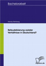 Mandy Steinberg, Refeudalisierung sozialer Verhltnisse in Deutschland