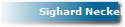 Sighard Neckel